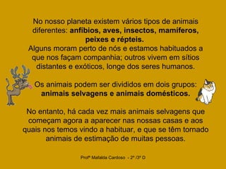 No nosso planeta existem vários tipos de animais diferentes:  anfíbios, aves, insectos, mamíferos, peixes e répteis.   Alguns moram perto de nós e estamos habituados a que nos façam companhia; outros vivem em sítios distantes e exóticos, longe dos seres humanos.   Os animais podem ser divididos em dois grupos:  animais selvagens e animais domésticos.   No entanto, há cada vez mais animais selvagens que começam agora a aparecer nas nossas casas e aos quais nos temos vindo a habituar, e que se têm tornado animais de estimação de muitas pessoas. 