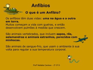 Anfíbios   O que é um Anfíbio?   Os anfíbios têm duas vidas:  uma na água e a outra em terra.  Muitos começam a vida com guelras, e então desenvolvem pulmões à medida que crescem.  São animais vertebrados, que incluem  sapos, rãs, salamandras e animais estranhos, parecidos com minhocas.  São animais de sangue-frio, que usam o ambiente à sua volta para regular a sua temperatura corporal.                        