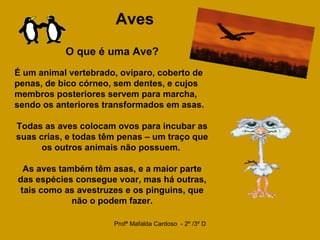 Aves   O que é uma Ave?   É um animal vertebrado, ovíparo, coberto de penas, de bico córneo, sem dentes, e cujos membros posteriores servem para marcha, sendo os anteriores transformados em asas. Todas as aves colocam ovos para incubar as suas crias, e todas têm penas – um traço que os outros animais não possuem.  As aves também têm asas, e a maior parte das espécies consegue voar, mas há outras, tais como as avestruzes e os pinguins, que não o podem fazer. 