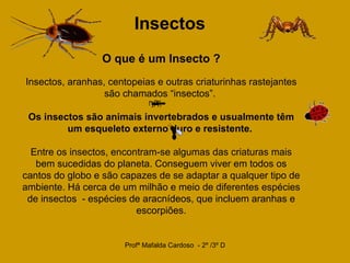 Insectos   O que é um Insecto ?   Insectos, aranhas, centopeias e outras criaturinhas rastejantes são chamados “insectos”.  Os insectos são animais invertebrados e usualmente têm um esqueleto externo duro e resistente.   Entre os insectos, encontram-se algumas das criaturas mais bem sucedidas do planeta. Conseguem viver em todos os cantos do globo e são capazes de se adaptar a qualquer tipo de ambiente. Há cerca de um milhão e meio de diferentes espécies de insectos  - espécies de aracnídeos, que incluem aranhas e escorpiões. 