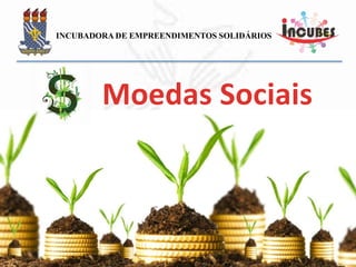 ÁRVORE DO ABRAÇO
De mãos dadas,
construindo uma nova
economia
 