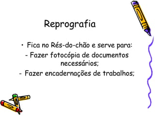 Apresentação aos Alunos 5º Ano
