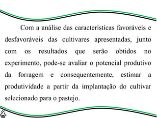 Com a análise das características favoráveis e
desfavoráveis das cultivares apresentadas, junto
com os resultados que serão obtidos no
experimento, pode-se avaliar o potencial produtivo
da forragem e consequentemente, estimar a
produtividade a partir da implantação do cultivar
selecionado para o pastejo.
 