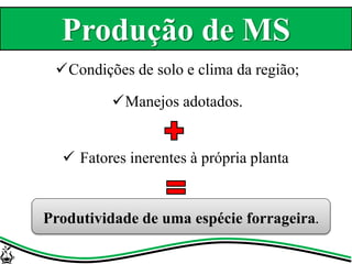 Condições de solo e clima da região;
Manejos adotados.
 Fatores inerentes à própria planta
Produtividade de uma espécie forrageira.
Produção de MS
 