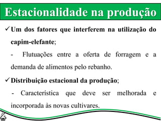 Um dos fatores que interferem na utilização do
capim-elefante;
- Flutuações entre a oferta de forragem e a
demanda de alimentos pelo rebanho.
Distribuição estacional da produção;
- Característica que deve ser melhorada e
incorporada às novas cultivares.
Estacionalidade na produção
 