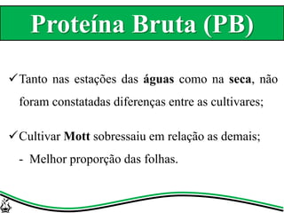 Tanto nas estações das águas como na seca, não
foram constatadas diferenças entre as cultivares;
Cultivar Mott sobressaiu em relação as demais;
- Melhor proporção das folhas.
Proteína Bruta (PB)
 