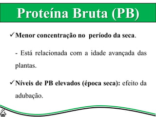 Menor concentração no período da seca.
- Está relacionada com a idade avançada das
plantas.
Níveis de PB elevados (época seca): efeito da
adubação.
Proteína Bruta (PB)
 