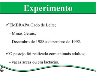 Experimento
EMBRAPA Gado de Leite;
- Minas Gerais;
- Dezembro de 1988 a dezembro de 1992.
O pastejo foi realizado com animais adultos;
- vacas secas ou em lactação.
 
