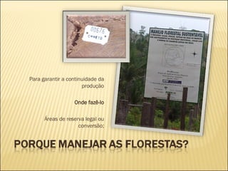 Para garantir a continuidade da produção   Onde fazê-lo   Áreas de reserva legal ou conversão; 