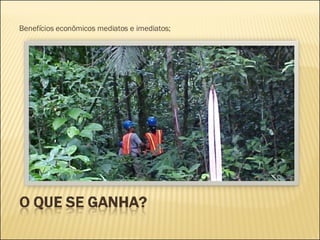 Benefícios econômicos mediatos e imediatos; 