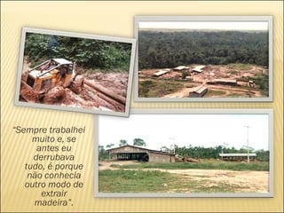 “ Sempre trabalhei muito e, se antes eu derrubava tudo, é porque não conhecia outro modo de extrair madeira”. 