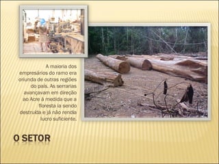 A maioria dos empresários do ramo era oriunda de outras regiões do país. As serrarias avançavam em direção ao Acre à medida que a floresta ia sendo destruída e já não rendia lucro suficiente. 