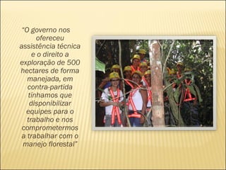 “ O governo nos ofereceu assistência técnica e o direito a exploração de 500 hectares de forma manejada, em contra-partida tínhamos que disponibilizar equipes para o trabalho e nos comprometermos a trabalhar com o manejo florestal” 
