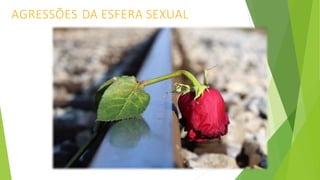 AGRESSÕES DA ESFERA SEXUAL
 