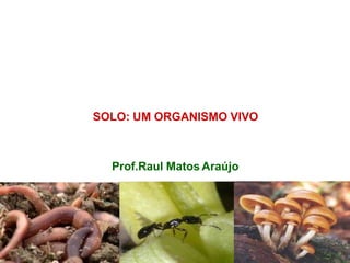 SOLO: UM ORGANISMO VIVO
Prof.Raul Matos Araújo
 