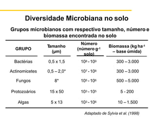 Diversidade Microbiana no solo
Grupos microbianos com respectivo tamanho, número e
biomassa encontrada no solo
GRUPO
T
amanho
(µm)
Número
(número g-1
solo)
Biomassa (kg ha-1
– base úmida)
Bactérias 0,5 x 1,5 108 -109 300 – 3.000
Actinomicetes 0,5 – 2,0* 107 -108 300 – 3.000
Fungos 8* 105 -106 500 – 5.000
Protozoários 15 x 50 103 -105 5 - 200
Algas 5 x 13 103 -106 10 – 1.500
Adaptado de Sylvia et al. (1998)
 