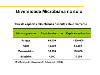 Microorganismo Espécies descritas Espécies estimadas
Fungos 69.000 1.500.000
Algas 40.000 60.000
Protozoários 30.000 100.000
Bactérias 4.000 30.000
Total de espécies microbianas descritas até omomento
Modificado de Hawksworth & Mound (1994)
Diversidade Microbiana no solo
 