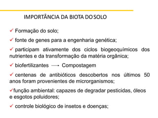 ✓ Formação do solo;
✓ fonte de genes para a engenharia genética;
✓ participam ativamente dos ciclos biogeoquímicos dos
nutrientes e da transformação da matéria orgânica;
✓ biofertilizantes Compostagem
✓ centenas de antibióticos descobertos nos últimos 50
anos foram provenientes de microrganismos;
✓função ambiental: capazes de degradar pesticidas, óleos
e esgotos poluidores;
✓ controle biológico de insetos e doenças;
IMPORTÂNCIA DA BIOTA DOSOLO
 