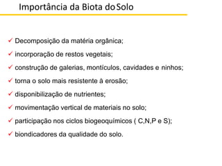 ✓ Decomposição da matéria orgânica;
✓ incorporação de restos vegetais;
✓ construção de galerias, montículos, cavidades e ninhos;
✓ torna o solo mais resistente à erosão;
✓ disponibilização de nutrientes;
✓ movimentação vertical de materiais no solo;
✓ participação nos ciclos biogeoquímicos ( C,N,P e S);
✓ biondicadores da qualidade do solo.
Importância da Biota doSolo
 
