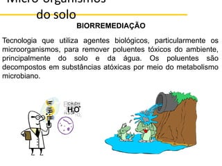 BIORREMEDIAÇÃO
Tecnologia que utiliza agentes biológicos, particularmente os
microorganismos, para remover poluentes tóxicos do ambiente,
principalmente do solo e da água. Os poluentes são
decompostos em substâncias atóxicas por meio do metabolismo
microbiano.
Micro-organismos
do solo
 