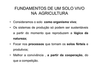 FUNDAMENTOS DE UM SOLO VIVO
NA AGRICULTURA
• Consideramos o solo como organismo vivo;
• Os sistemas de produção só podem ser sustentáveis
a partir do momento que reproduzem a lógica da
natureza;
• Focar nos processos que tornam os solos férteis e
produtivos;
• Melhor a convivência , a partir da cooperação, do
que a competição.
 