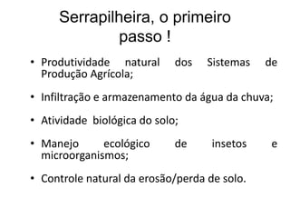 Serrapilheira, o primeiro
passo !
• Produtividade natural dos Sistemas de
Produção Agrícola;
• Infiltração e armazenamento da água da chuva;
• Atividade biológica do solo;
• Manejo ecológico de insetos e
microorganismos;
• Controle natural da erosão/perda de solo.
 