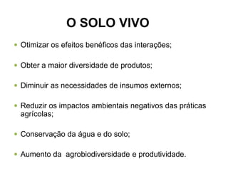 O SOLO VIVO
 Otimizar os efeitos benéficos das interações;
 Obter a maior diversidade de produtos;
 Diminuir as necessidades de insumos externos;
 Reduzir os impactos ambientais negativos das práticas
agrícolas;
 Conservação da água e do solo;
 Aumento da agrobiodiversidade e produtividade.
 