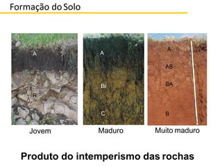 A
AB
BA
B
A
R
Jovem Maduro Muito maduro
A
Bi
C
Produto do intemperismo das rochas
Formação doSolo
 