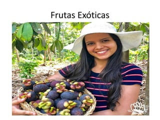 Frutas Exóticas
 