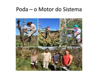 Poda – o Motor do Sistema
 
