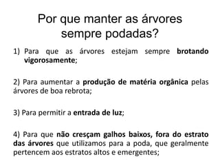 Por que manter as árvores
sempre podadas?
1) Para que as árvores estejam sempre brotando
vigorosamente;
2) Para aumentar a produção de matéria orgânica pelas
árvores de boa rebrota;
3) Para permitir a entrada de luz;
4) Para que não cresçam galhos baixos, fora do estrato
das árvores que utilizamos para a poda, que geralmente
pertencem aos estratos altos e emergentes;
 