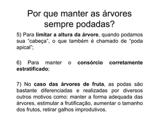 Por que manter as árvores
sempre podadas?
5) Para limitar a altura da árvore, quando podamos
sua “cabeça”, o que também é chamado de “poda
apical”;
6) Para manter o consórcio corretamente
estratificado;
7) No caso das árvores de fruta, as podas são
bastante diferenciadas e realizadas por diversos
outros motivos como: manter a forma adequada das
árvores, estimular a frutificação, aumentar o tamanho
dos frutos, retirar galhos improdutivos.
 