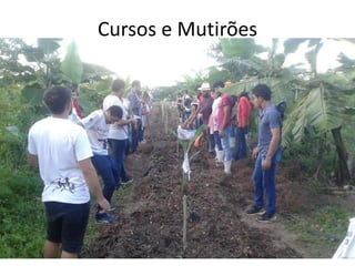 Cursos e Mutirões
 