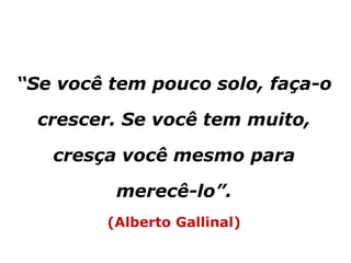 “Se você tem pouco solo, faça-o
crescer. Se você tem muito,
cresça você mesmo para
merecê-lo”.
(Alberto Gallinal)
 