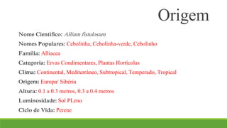 Origem 
Nome Científico: Allium fistulosum 
Nomes Populares: Cebolinha, Cebolinha-verde, Cebolinho 
Família: Alliacea 
Categoria: Ervas Condimentares, Plantas Hortícolas 
Clima: Continental, Mediterrâneo, Subtropical, Temperado, Tropical 
Origem: Europa/ Sibéria 
Altura: 0.1 a 0.3 metros, 0.3 a 0.4 metros 
Luminosidade: Sol PLeno 
Ciclo de Vida: Perene 
 