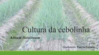 Cultura da cebolinha 
Allium fistulosum 
Graduanda: Patrcia Furtado 
 