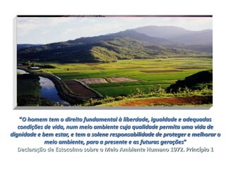 “O homem tem o direito fundamental à liberdade, igualdade e adequadas
   condições de vida, num meio ambiente cuja qualidade permita uma vida de
dignidade e bem estar, e tem a solene responsabilidade de proteger e melhorar o
             meio ambiente, para a presente e as futuras gerações”
   Declaração de Estocolmo sobre o Meio Ambiente Humano 1972. Princípio 1
 