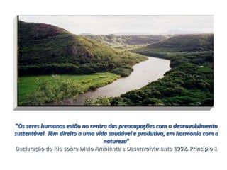 “Os seres humanos estão no centro das preocupações com o desenvolvimento
sustentável. Têm direito a uma vida saudável e produtiva, em harmonia com a
                                  natureza”
Declaração do Rio sobre Meio Ambiente e Desenvolvimento 1992. Princípio 1
 