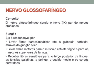 NERVO GLOSSOFARÍNGEO
Conceito
O nervo glossofaríngeo sendo o nono (IX) par do nervos
cranianos.

Função
Ele é responsável por:
• Levar fibras parassimpáticas até a glândula parótida,
através do gânglio ótico.
• Levar fibras motoras para o músculo estilofaríngeo e para os
músculos superiores da faringe.
• Receber fibras sensitivas para: o terço posterior da língua,
as tonsilas palatinas, a faringe, o ouvido médio e os corpos
carotídeos.
 