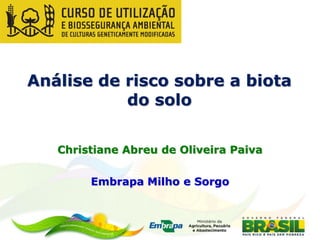 Análise de risco sobre a biota
           do solo


   Christiane Abreu de Oliveira Paiva

        Embrapa Milho e Sorgo
 