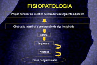 FISIOPATOLOGIA Porção superior do intestino se introduz em segmento adjacente  Obstrução intestinal e compressão da alça invaginada  Edema Isquemia  Necrose  Fezes Sanguinolentas  