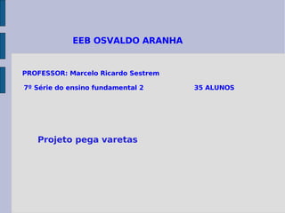 EEB OSVALDO ARANHA  PROFESSOR: Marcelo Ricardo Sestrem 7º Série do ensino fundamental 2  35 ALUNOS Projeto pega varetas   