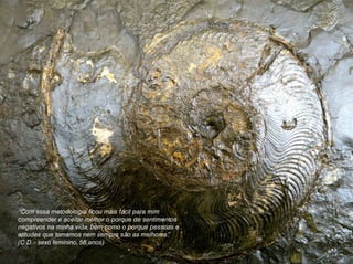 “Com essa metodologia ficou mais fácil para mim
compreender e aceitar melhor o porque de sentimentos
negativos na minha vida, bem como o porque pessoas e
atitudes que tomamos nem sempre são as melhores.”
(C D. - sexo feminino, 56 anos)
 