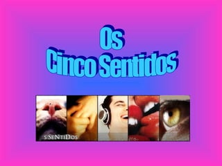 Os Cinco Sentidos