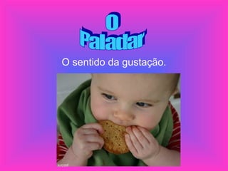 O sentido da gustação. O Paladar