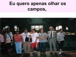 Eu quero apenas olhar os campos,  
