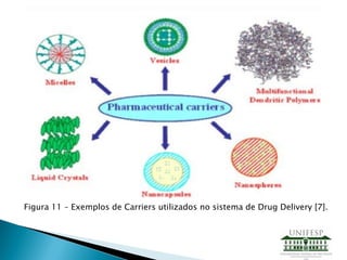 Figura 11 – Exemplos de Carriers utilizados no sistema de Drug Delivery [7].
 