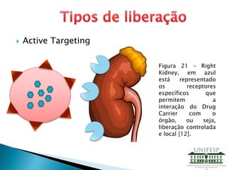  Active Targeting
Figura 21 – Right
Kidney, em azul
está representado
os receptores
específicos que
permitem a
interação do Drug
Carrier com o
órgão, ou seja,
liberação controlada
e local [12].
 