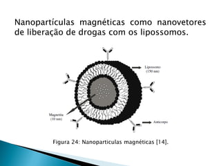 Nanopartículas magnéticas como nanovetores
de liberação de drogas com os lipossomos.
Figura 24: Nanoparticulas magnéticas [14].
 