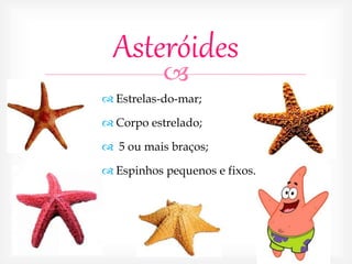 
Asteróides
 Estrelas-do-mar;
 Corpo estrelado;
 5 ou mais braços;
 Espinhos pequenos e fixos.
 